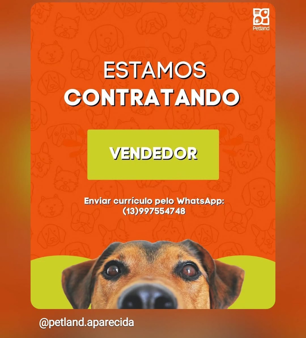 Vagas 13/04/2026 Baixada Santista