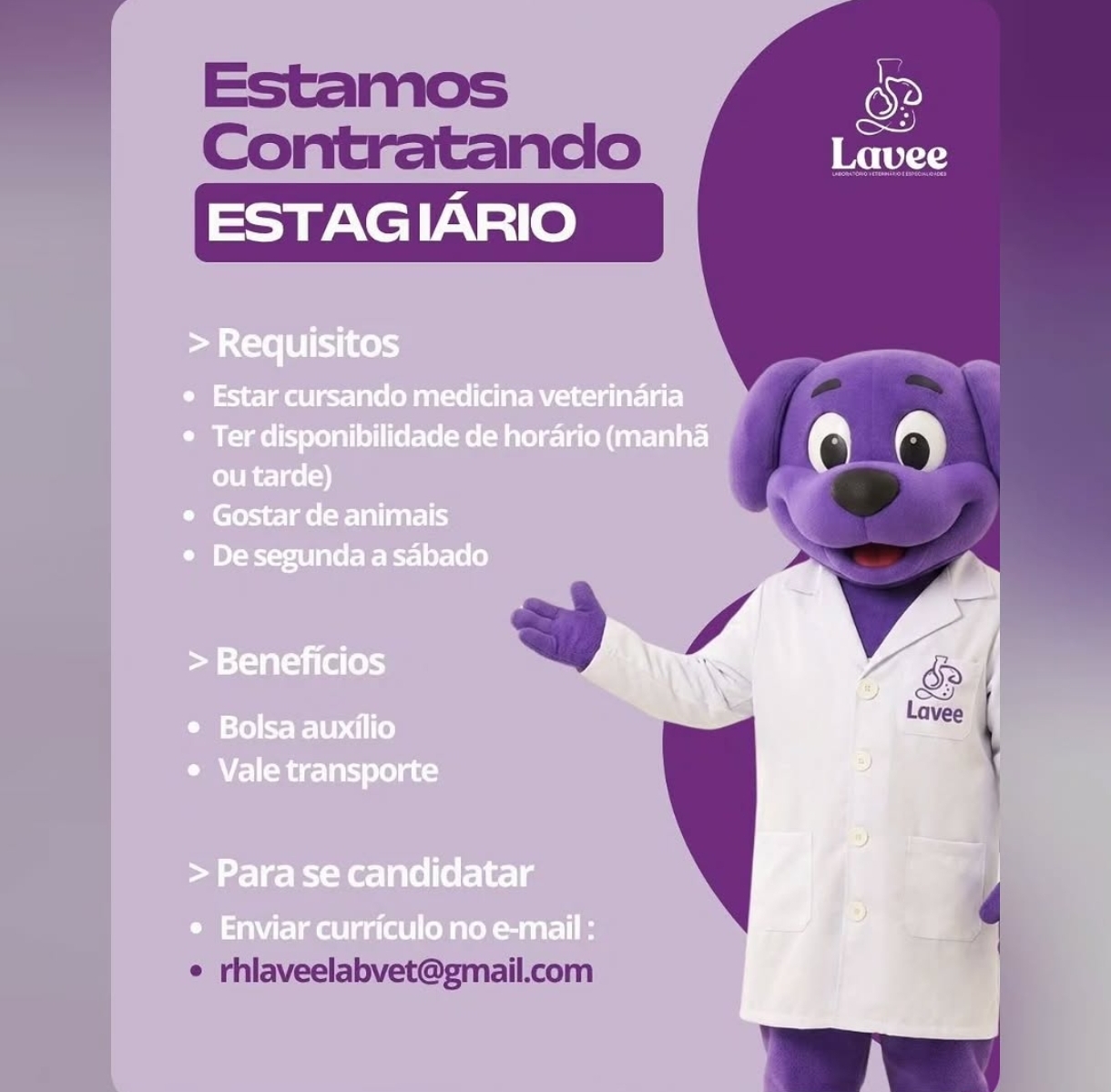 Vagas 24/04/2026 Baixada Santista